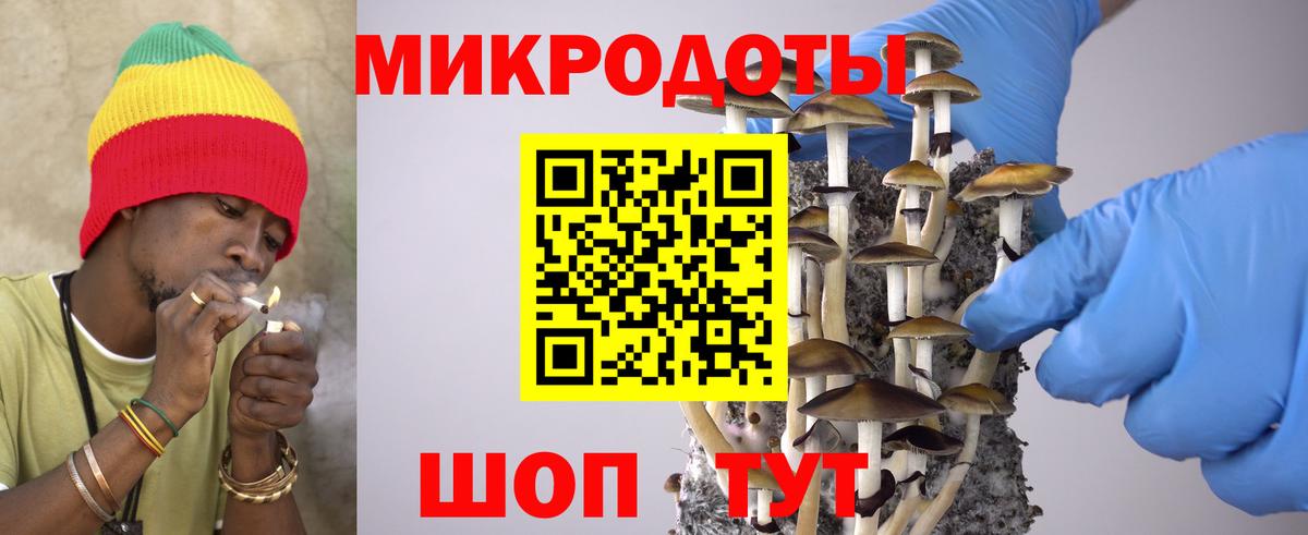 Гудермес  Псилоцибиновые грибы Magic Shrooms  наркошоп  Вход с VPN 
